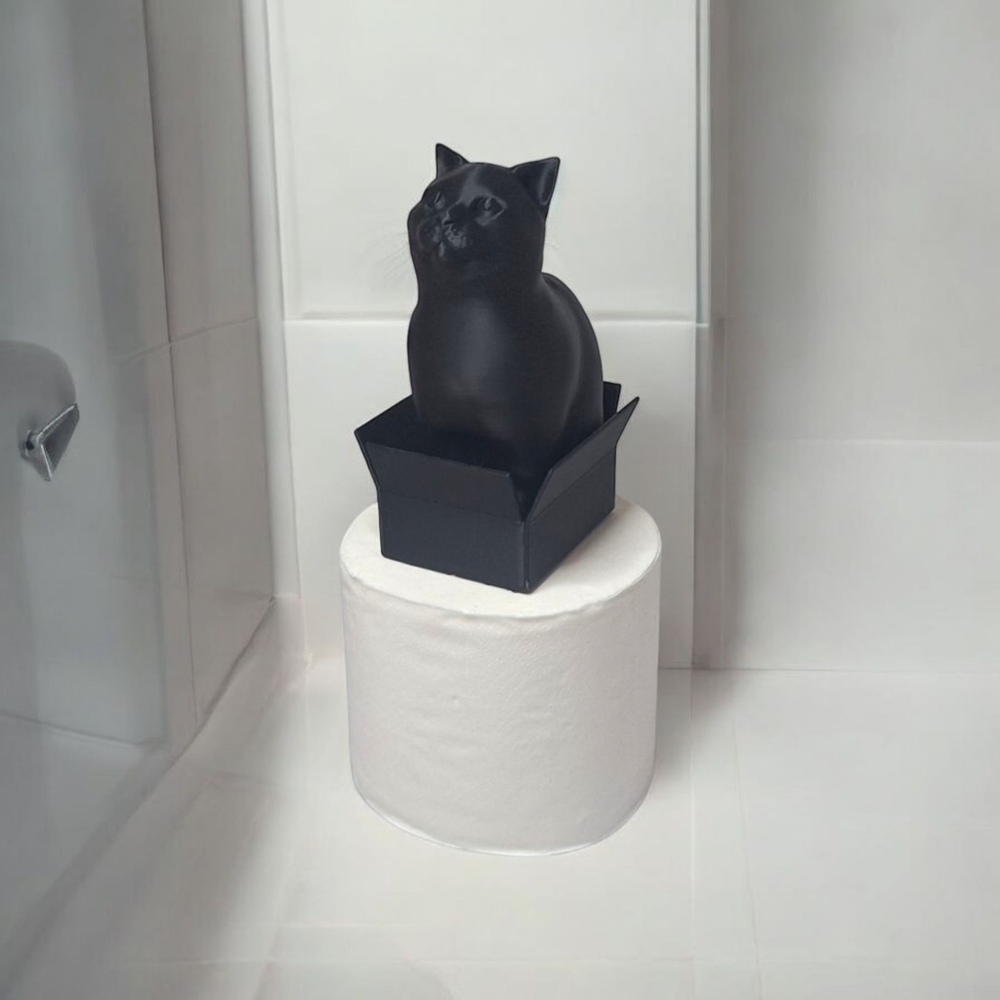 Cat Toilet Paper Topper! Cat in a Box